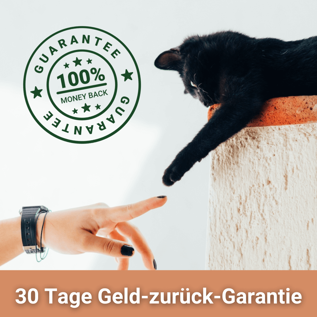 Tierurne "Persönlich"